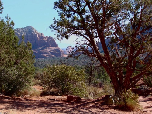 Path in Arizona